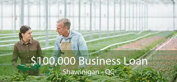$100,000 Business Loan Shawinigan - QC