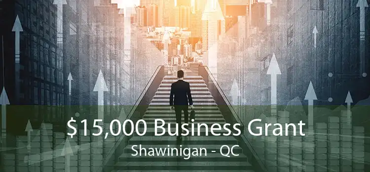 $15,000 Business Grant Shawinigan - QC