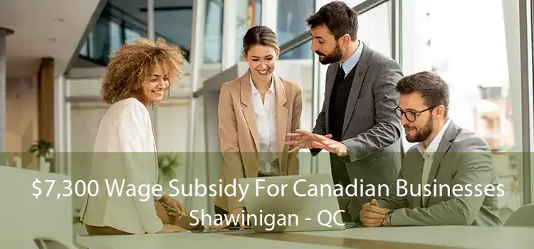 $7,300 Wage Subsidy For Canadian Businesses Shawinigan - QC