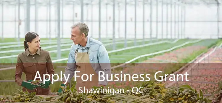 Apply For Business Grant Shawinigan - QC